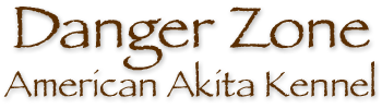 Danger Zone American Akita Kennel