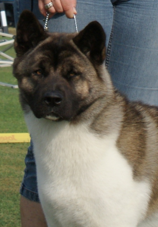 chm-hrhjch2xhchhschchch-hrintchwoorlockjessicaalba-120810505485769699a86.jpg chm-hrhjch2xhchhschchch-hrintchwoorlockjessicaalba-120810505485769699a86.jpg