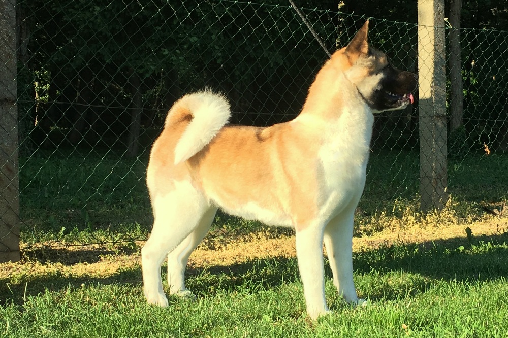 hjchch-hrhchhschbridgetjonesofdangerzone-07070436595f974c50cf5.jpg hjchch-hrhchhschbridgetjonesofdangerzone-07070436595f974c50cf5.jpg