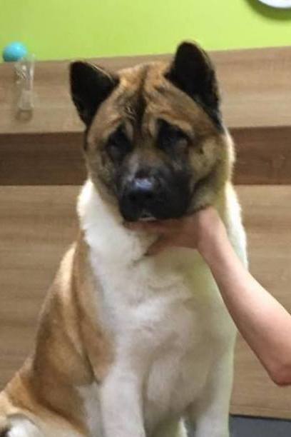 hjchch-hrhchhschhgchintchbridgetjonesofdangerzone-052801175ced1791e1476.jpg hjchch-hrhchhschhgchintchbridgetjonesofdangerzone-052801175ced1791e1476.jpg