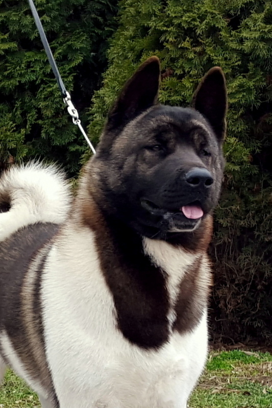 intchbrooklynofdangerzone-031809445c90051c30a77.jpg intchbrooklynofdangerzone-031809445c90051c30a77.jpg