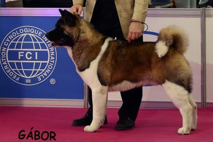 ÖJCH Redwitch Winner Takes All ÖJCH Redwitch Winner Takes All