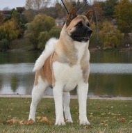 HMPGW, HPGW, ÖJCH, HJCH, CH-HR Faiter Big Explosion At Danger Zone