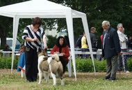 CAC Zalaegerszeg / Nagylengyel