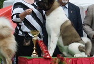 CAC Zalaegerszeg / Nagylengyel