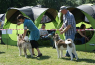 CAC Veszprém / Herend