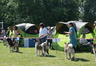 CAC Veszprém / Herend