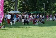 CACIB Székesfehérvár 15-16.06.2013.