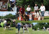 CAC Veszprém / Herend