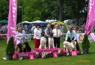 CACIB Székesfehérvár 15-16.06.2013.