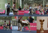 CACIB Oberwart - Internationale Ausstellung