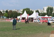 CACIB Debrecen