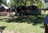 CACIB Székesfehérvár