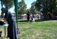 CACIB Székesfehérvár