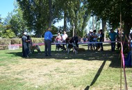 CACIB Székesfehérvár