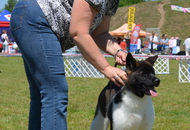 CACIB Komárom - International Dog Show