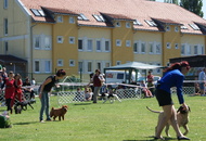 CACIB Székesfehérvár