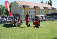 CACIB Székesfehérvár