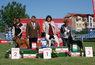 CACIB Székesfehérvár