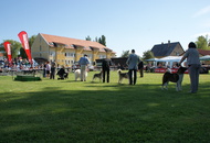 CACIB Székesfehérvár