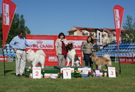 CACIB Székesfehérvár