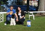 CACIB Székesfehérvár