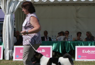 CACIB Komárom - International Dog Show