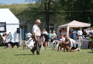 - 2014.06.09. CACIB Komárom - International Dog Show