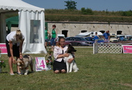 - 2014.06.09. CACIB Komárom - International Dog Show