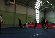 CACIB Oberwart - Internationale Ausstellung