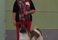 CACIB Oberwart - Internationale Ausstellung