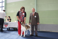 CACIB Oberwart - Internationale Ausstellung