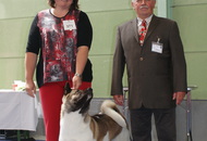 CACIB Oberwart - Internationale Ausstellung