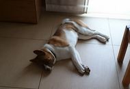 Aurora of Danger Zone