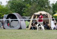 CACIB Kecskemét - International Dog Show