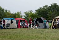 CACIB Kecskemét - International Dog Show