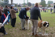 MKSZ CCC CAC Zalalövő