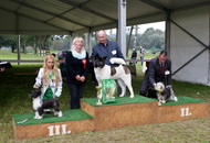 MKSZ CCC CAC Zalalövő