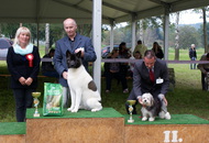 MKSZ CCC CAC Zalalövő