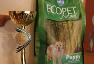 MKSZ CCC CAC Zalalövő