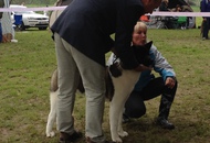 MKSZ CCC CAC Zalalövő