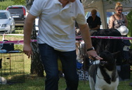 CAC Novi Marof, Croatia