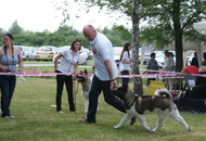 CAC Novi Marof, Croatia