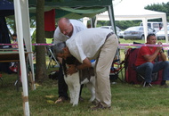 CAC Novi Marof, Croatia