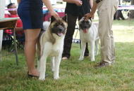 CAC Novi Marof, Croatia