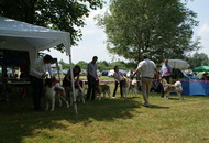 CAC Novi Marof, Croatia