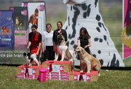 CAC Novi Marof, Croatia