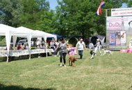 CAC Novi Marof, Croatia