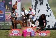 CAC Novi Marof, Croatia