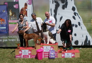 CAC Novi Marof, Croatia